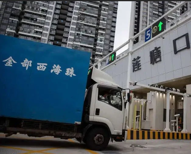 Entrega a domicilio del transporte por carretera de China Alemania